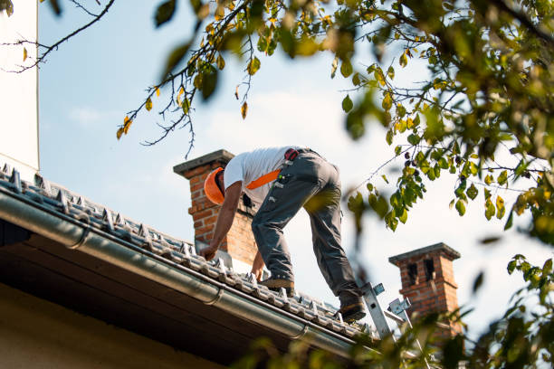 Best Roof Repair Services  in Barron, WI